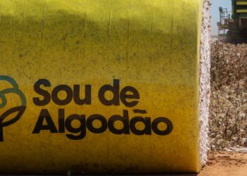 Algodão brasileiro responsável, compromisso com a sustentabilidade