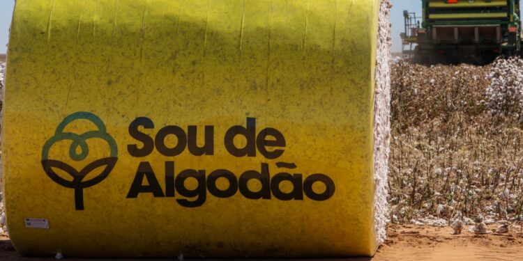 Algodão brasileiro responsável, compromisso com a sustentabilidade