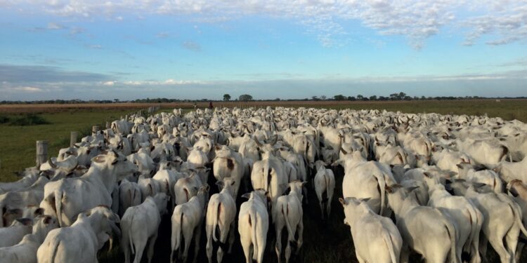 Momento de acertar o novo ciclo