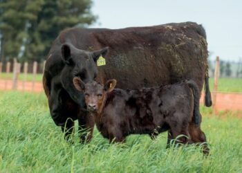 O desafio de encontrar o equilíbrio