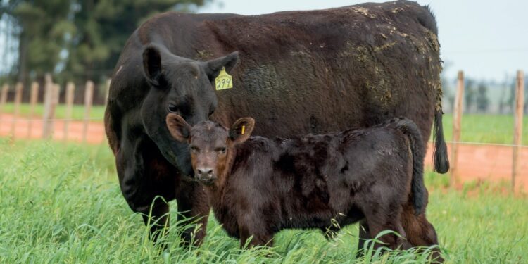 O desafio de encontrar o equilíbrio