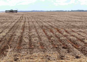 UMA POLITICA AGRÍCOLA QUE O AGRO BRASILEIRO MERECE
