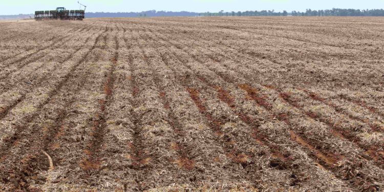 UMA POLITICA AGRÍCOLA QUE O AGRO BRASILEIRO MERECE