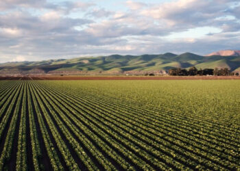 Quanto vale nosso negócio?