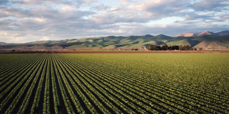 Quanto vale nosso negócio?