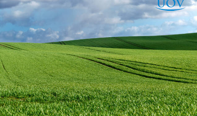 ERROS COMETIDOS NO MANEJO DA PASTAGEM