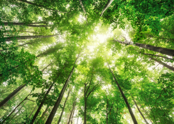 Com a mãe natureza não se brinca