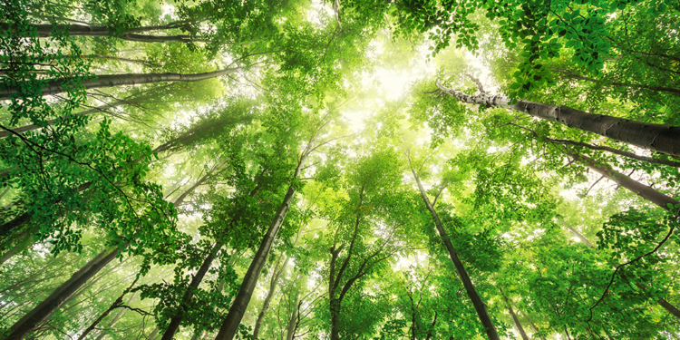 Com a mãe natureza não se brinca