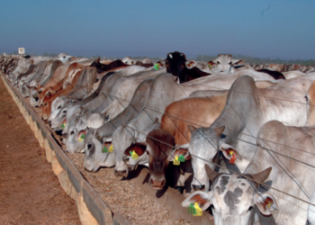 Estratégia precisa funcionar a pleno em todas as etapas do ciclo, pois tirar o pé do acelerador na fase final pode custar caro