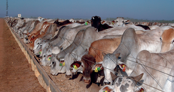 Estratégia precisa funcionar a pleno em todas as etapas do ciclo, pois tirar o pé do acelerador na fase final pode custar caro