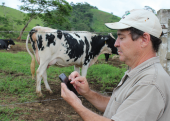 REVOLUÇÃO SILENCIOSA