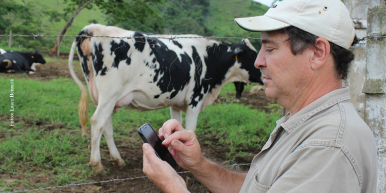 REVOLUÇÃO SILENCIOSA