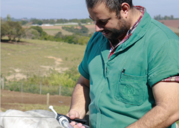 Principais recomendações internacionais para a segurança sanitária de alimentos de origem bovina que podem ser aplicadas em qualquer fazenda. Avalie a sua realidade: