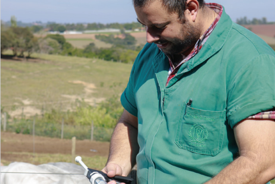 Principais recomendações internacionais para a segurança sanitária de alimentos de origem bovina que podem ser aplicadas em qualquer fazenda. Avalie a sua realidade: