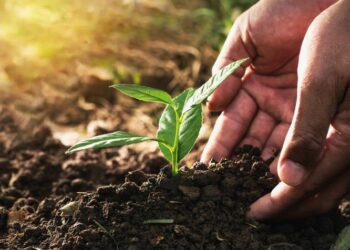 Produzindo certo: responsabilidades com retornos