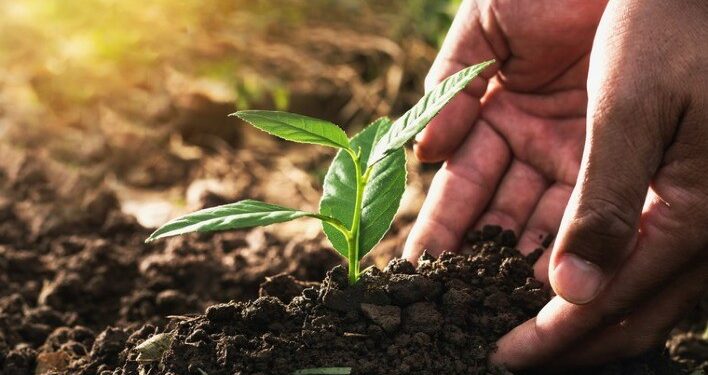 Produzindo certo: responsabilidades com retornos