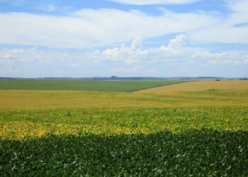 ESPECIAL CESB – ABERTURA