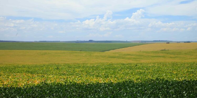 ESPECIAL CESB – ABERTURA