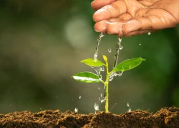 Produção com responsabilidade