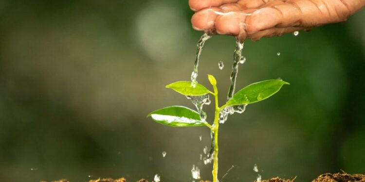 Produção com responsabilidade