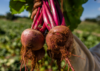 Produção e talentos aprimorados