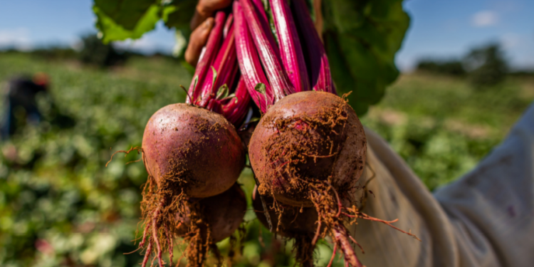 Produção e talentos aprimorados