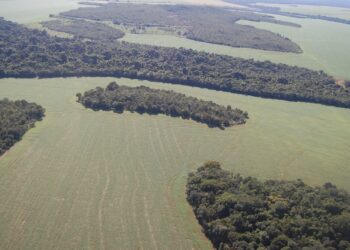 Mais do que produzir, ser sustentável