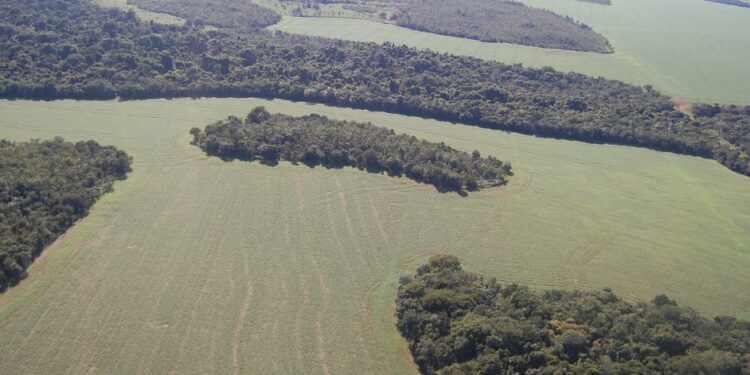 Mais do que produzir, ser sustentável