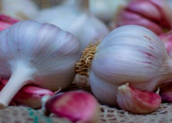 Produtores diminuem dependência das importações