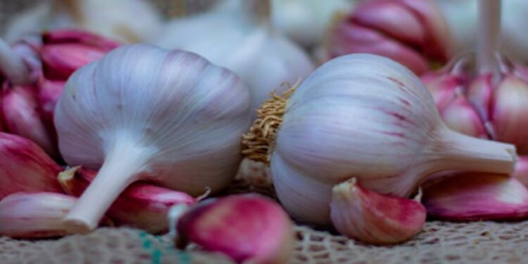 Produtores diminuem dependência das importações