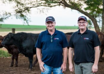 Tradição acompanhada pela inovação
