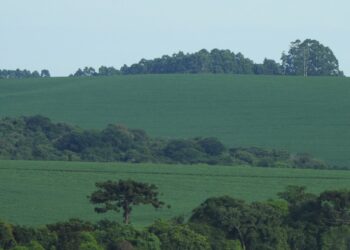 A agropecuária e as mudanças climáticas