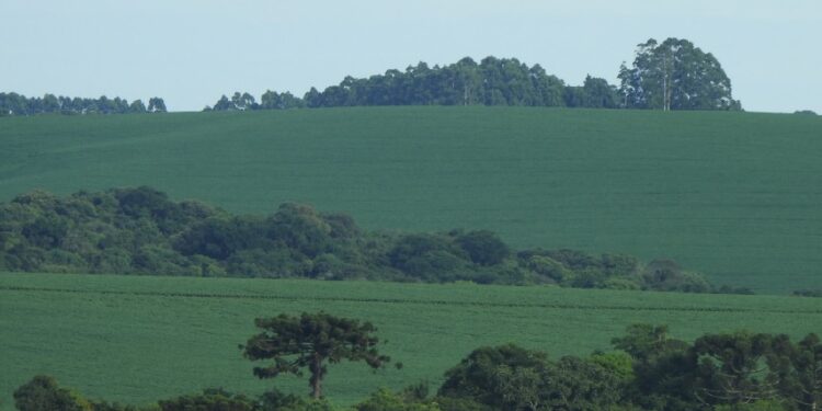 A agropecuária e as mudanças climáticas