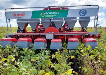 Sistema antecipe: providencial adequação à janela de plantio