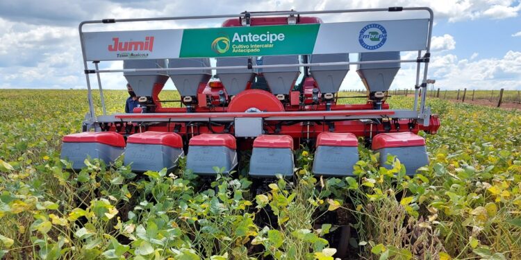 Sistema antecipe: providencial adequação à janela de plantio