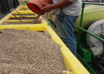 O lugar do fósforo no sistema de produção