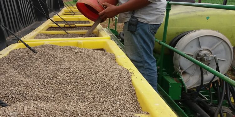 O lugar do fósforo no sistema de produção