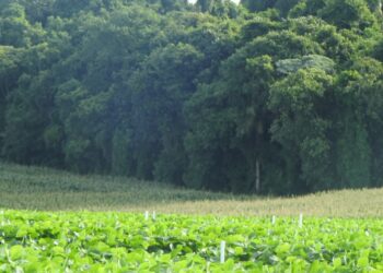 Lei do licenciamento ambiental: por mais desburocratização