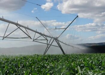 Maior eficiência no uso da terra