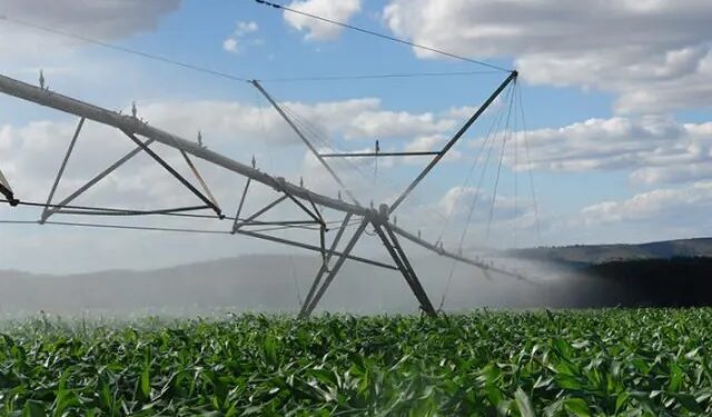 Maior eficiência no uso da terra