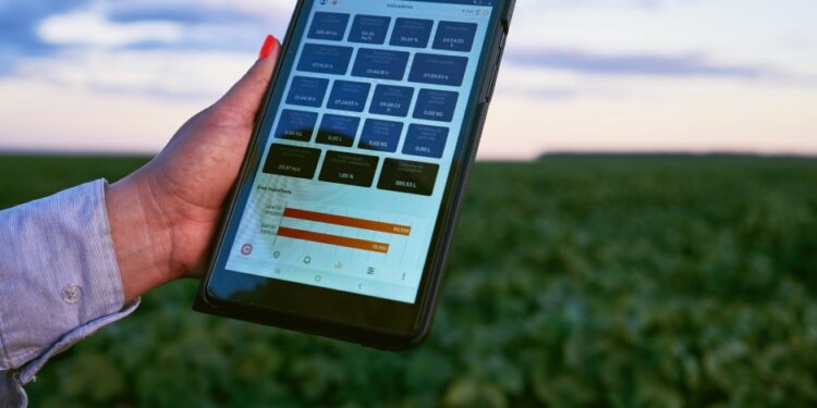 Digitalização no campo: dos desafios aos benefícios