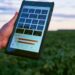 Digitalização no campo: dos desafios aos benefícios