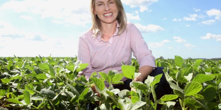 A dúvida se tornou referência