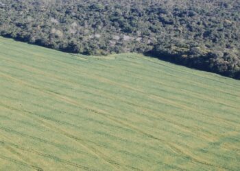 A Coalizão Brasil e as potencialidades agroambientais