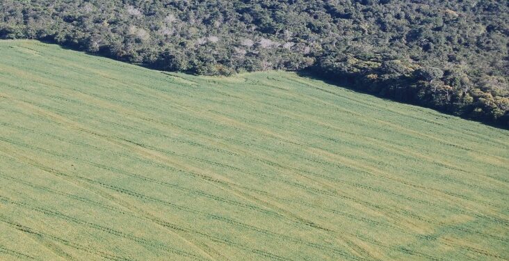 A Coalizão Brasil e as potencialidades agroambientais