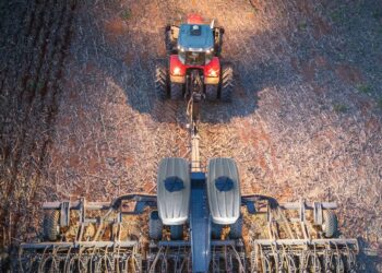 Insumos: fertilizantes com os mais altos preços em 12 anos