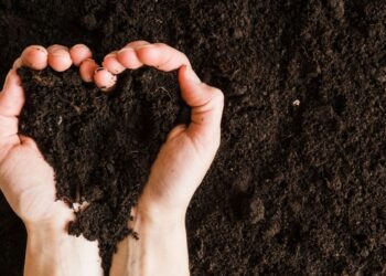 Adubação biológica da Microgeo para bioestruturação do solo 