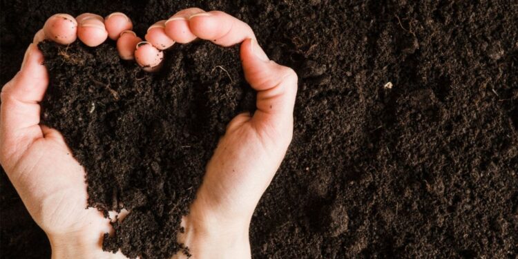 Adubação biológica da Microgeo para bioestruturação do solo 