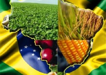 O agro, as ciências tropicais e os desafios do Brasil nesta nova era – Parte II￼