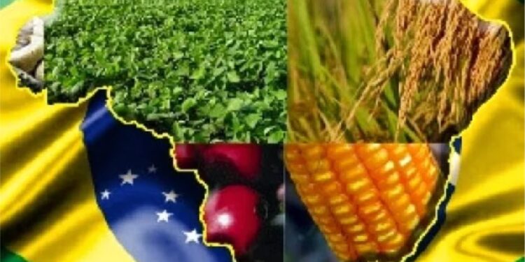 O agro, as ciências tropicais e os desafios do Brasil nesta nova era – Parte II￼